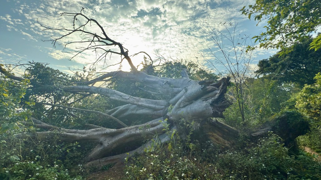 ［台灣-生活雜記］新豐・鳳崎落日步道。
