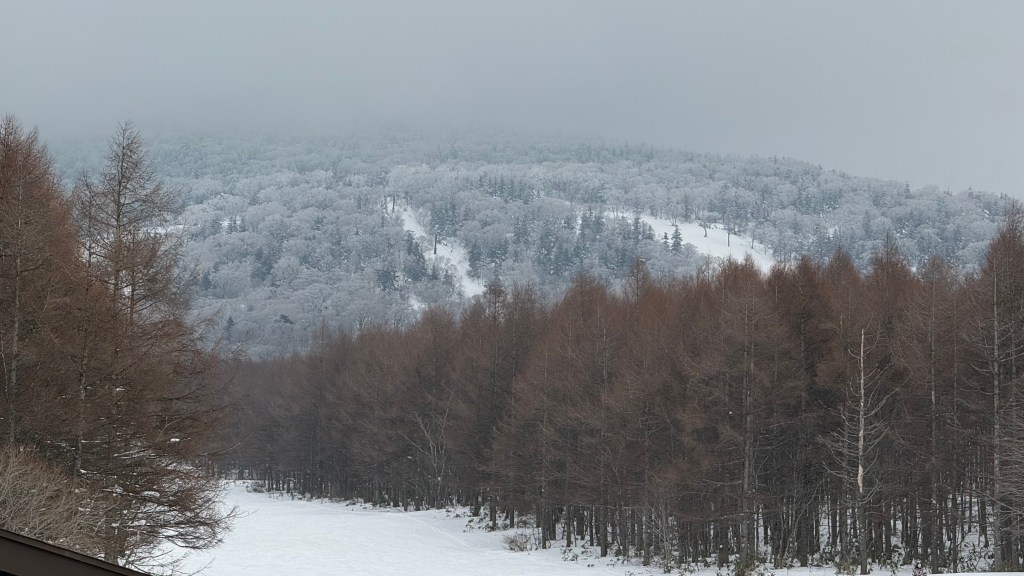 ［日本-關東/東北］旅行計畫_Itinerary（2026, 0110-0118）